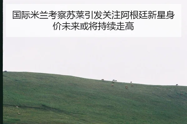 国际米兰考察苏莱引发关注阿根廷新星身价未来或将持续走高
